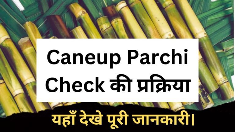 Caneup Parchi